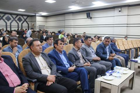 برگزاری مراسم جشن میلاد پیامبر (ص) در کمیته امداد کهگیلویه و بویراحمد
